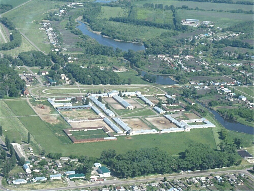 Хреновской конный завод, именно здесь выведены орловская рысистая и орловская верховая породы лошадей.