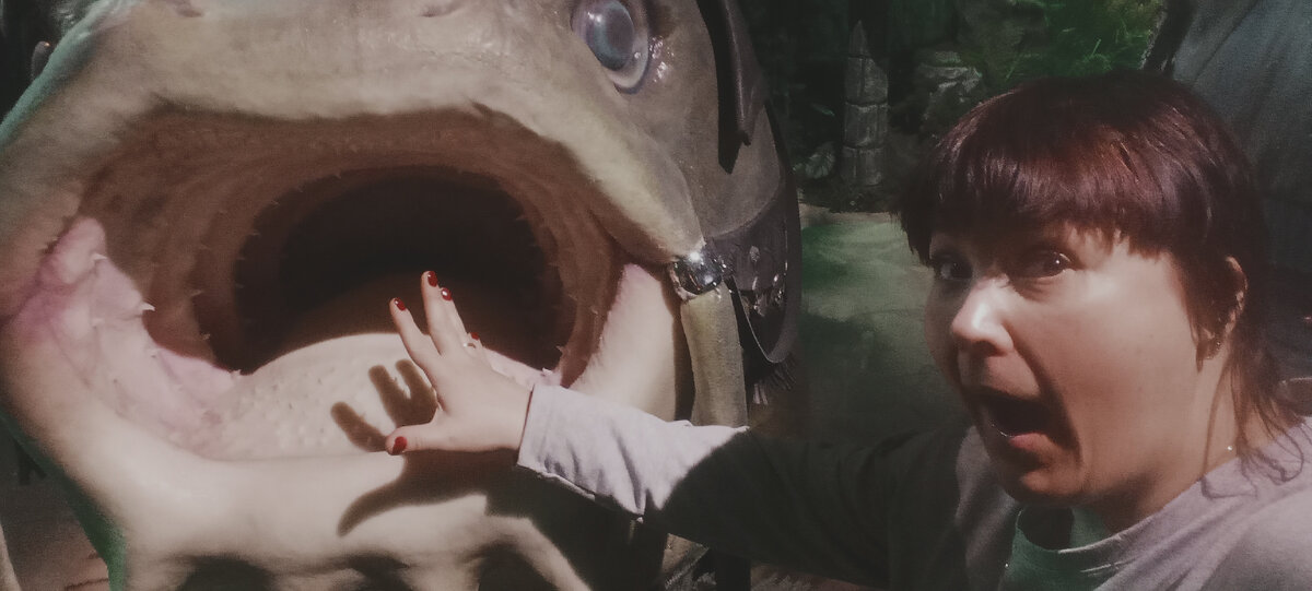 Много знал принимай. Книги просвещают душу. Цитаты про неудачи и успех. Кот мафия смешной. Высказывания психологов о жизни.