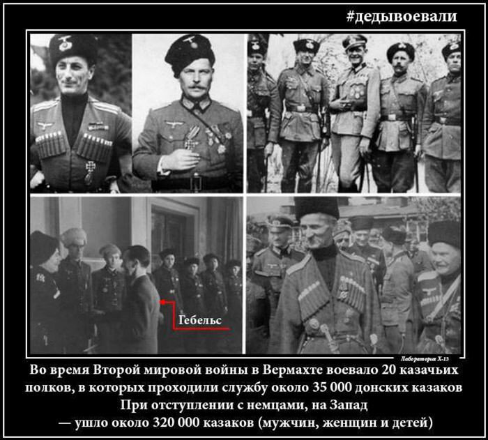 Сколько чеченцев воюют. Казаки за фашистов воевали. Казаки на стороне фашистов. Казаки воевавшие на стороне Гитлера.