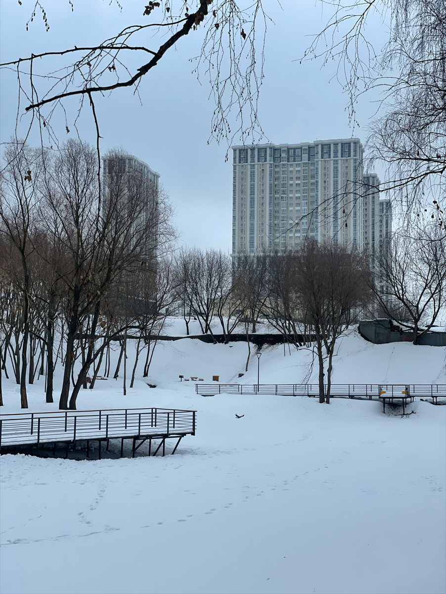 Вид из парка на новостройки. Здесь и далее все фото материалы автора.