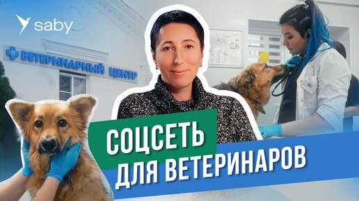 Корпоративный портал: чаты, видеозвонки, мотивация, - опыт внедрения в сети ветеринарных клиник