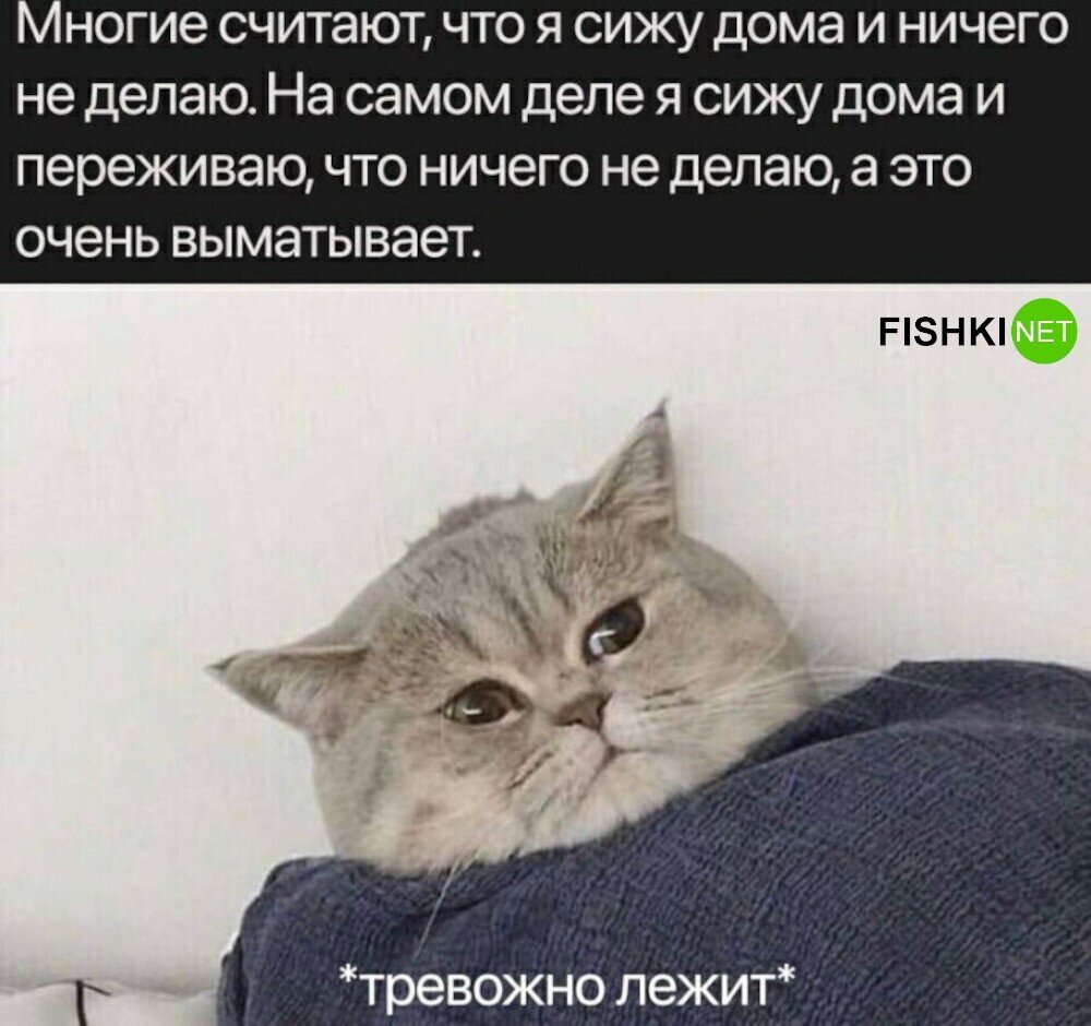 Смешные высказывания про воскресенье. Пользоваться людьми цитаты. Котоматрица алименты. Афоризмы про воскресенье. Которые сами ничего не делают.