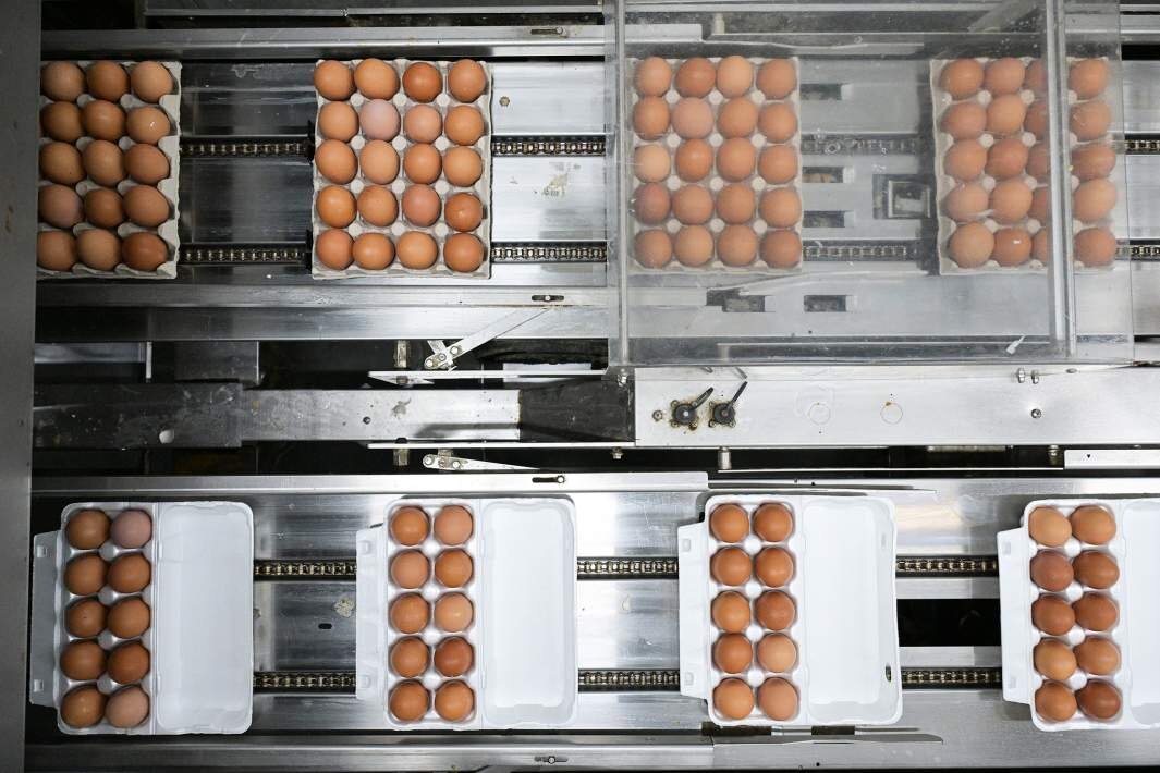 Слоистые композиционные материалы состав. Белковая сыворотка. Низкоуглеродистая конструкционная сталь марки. Искусственные материалы синтетические материалы. Сплавы металлов.