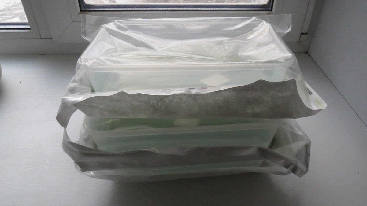 02 февраля 2024 года. Стерильные лотки