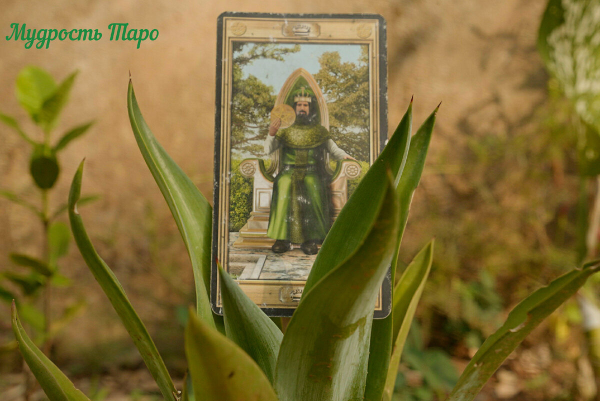 Мотивирующие фразы. Мудрые фразы. Цитаты когда тяжело. Стараюсь не всегда получается. Я старался картинка.