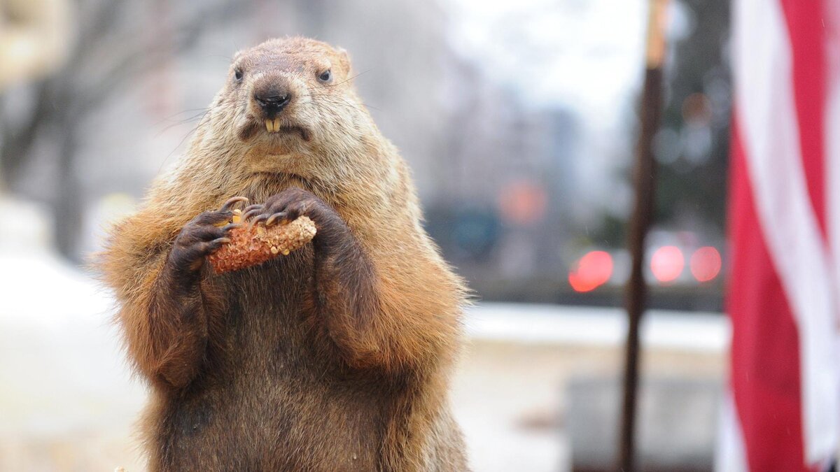 Фото: Bao Dandan/globallookpress.com