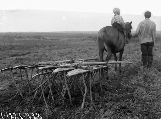 крестьянский мальчик. возвращение с сенокоса 1911 сычков. традиции крестьян. венецианов гумно. владимир амосович табурин.