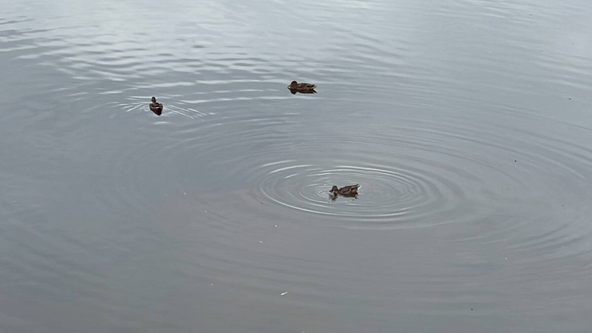 ИА SM-News Тюмень📷
