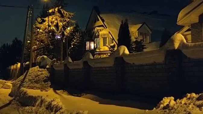 ����: �������