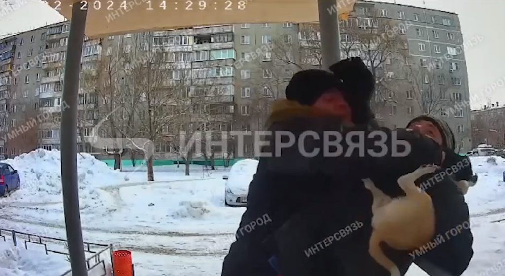 Люди вступились за прохожего, который избил владельца собаки: \"Они уже ...