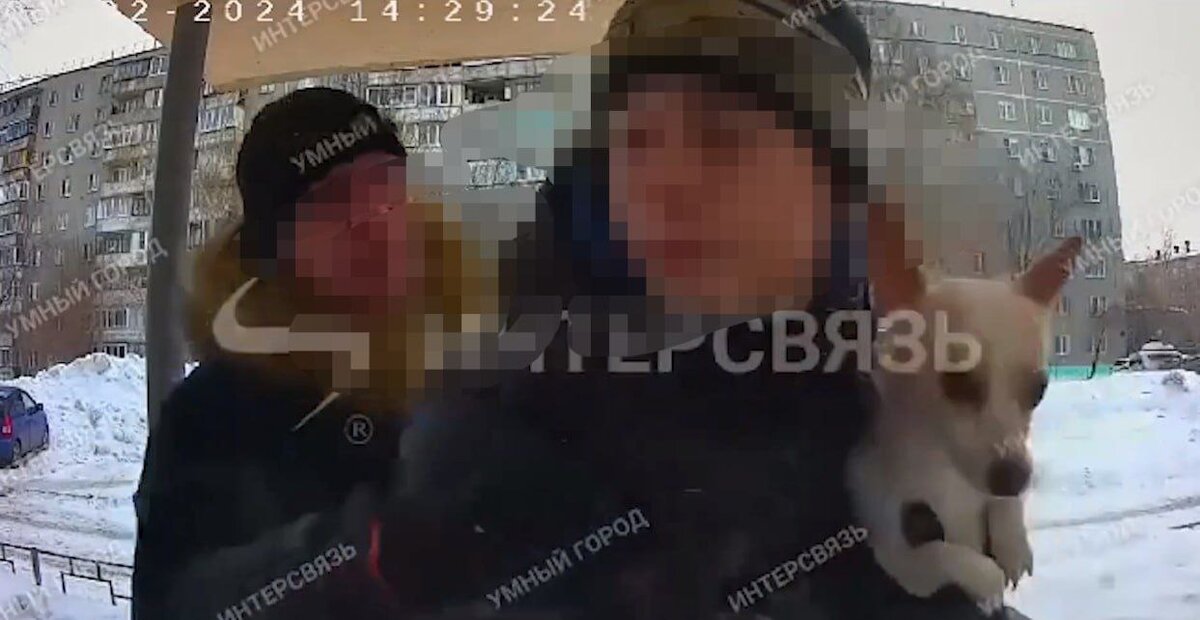 Фото: скриншот камеры подъездного домофона компании "Интерсвязь".