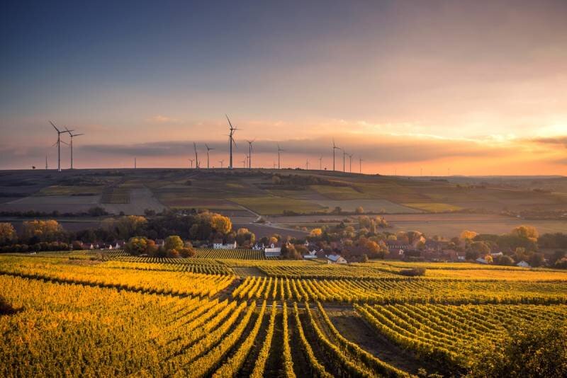 Десятки британских ветряных электростанций, которыми управляют некоторые из крупнейших энергетических компаний Европы, регулярно переоценивают объемы производства электроэнергии, добавляя миллионы...