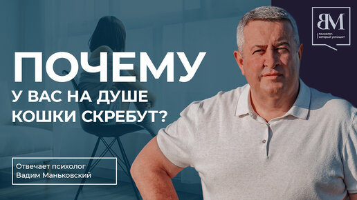 Почему у вас на душе кошки скребут?