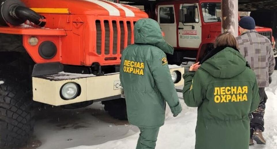    Пресс-служба Комлесхоза МО