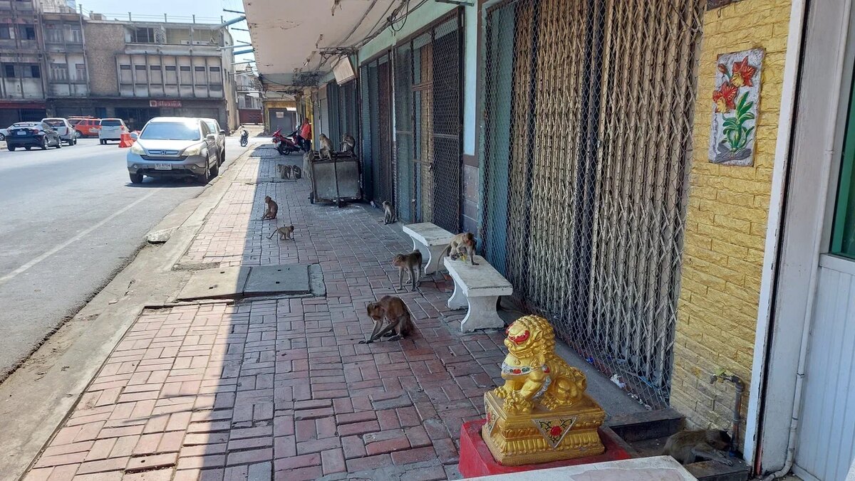 здание народной скупщины сербии. город захват власти. митинги в киргизии жапаров. насильственный захват власти. город захват власти.