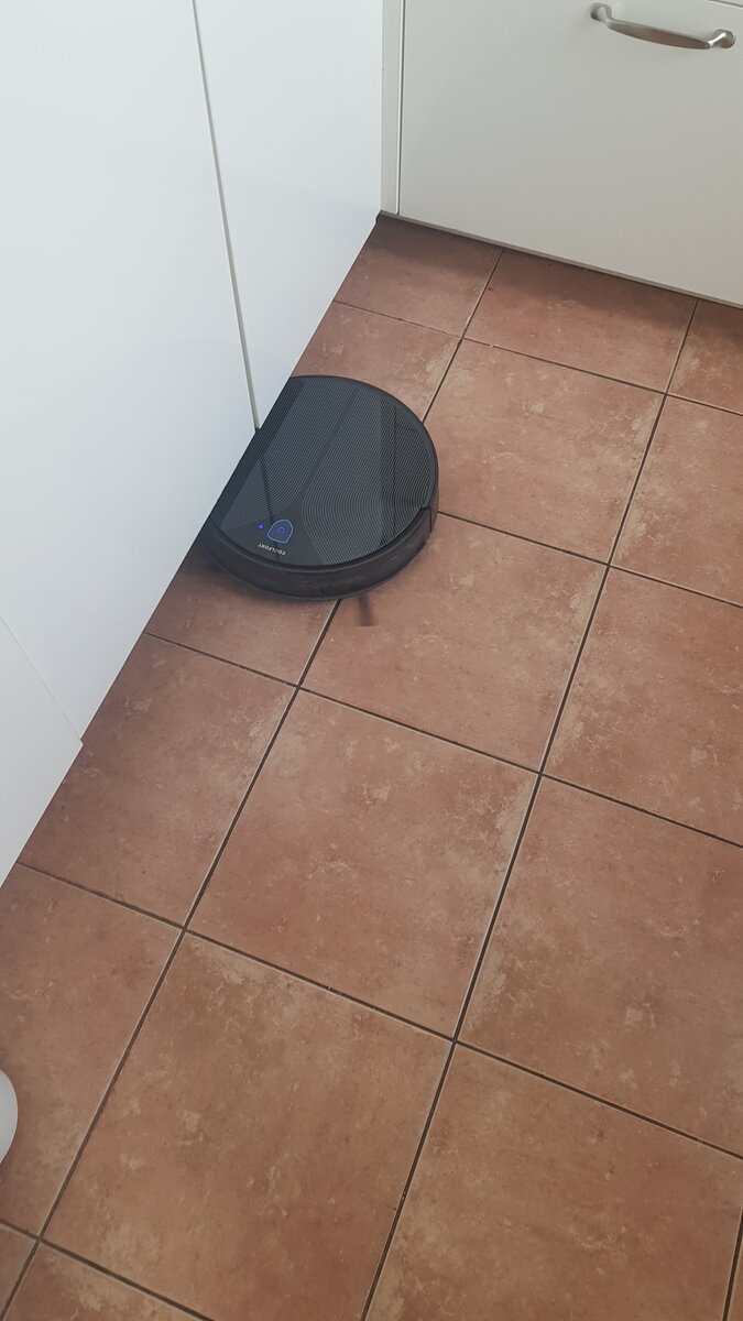 Робот-пылесос Боря, мой помощник и друг😅