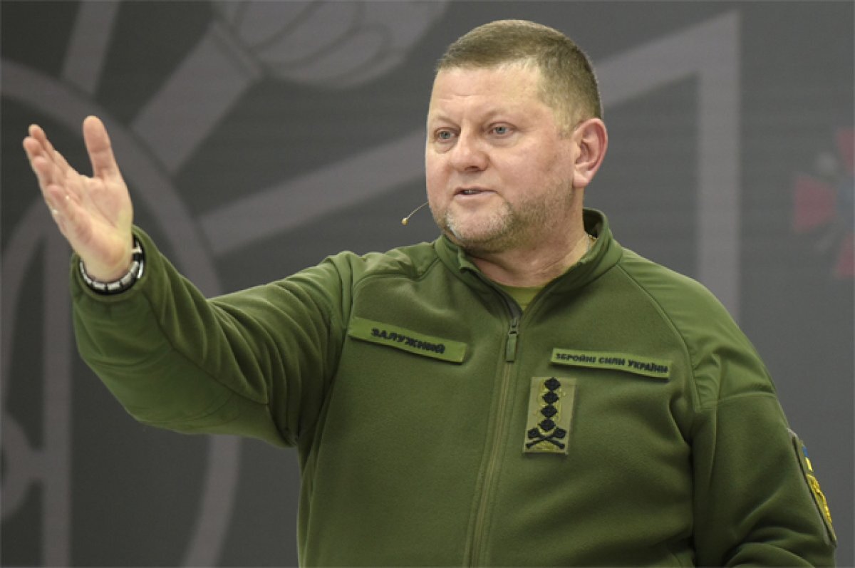    Валерий Залужный