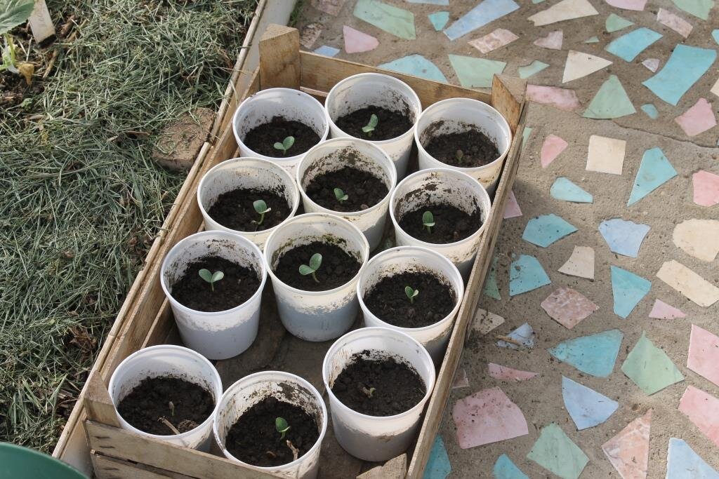 Умные высказывания. Что будет если не изменить жизнь. Некоторые думают что они некоторые. Афоризмы про неудачи. Почему некоторые получается.