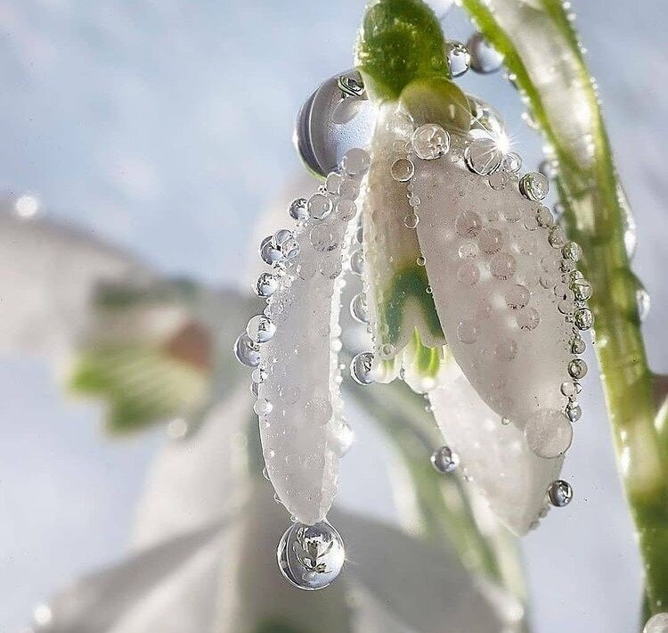 занятия женщин древних славян. список хозяйственных работ женщин. занятия крестьян в древней руси. хозяйственные нужды это список. перечень товаров на рынке.