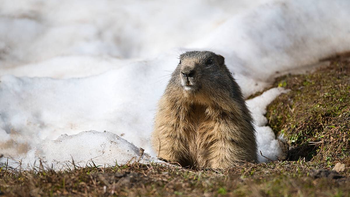    Фото: shutterstock