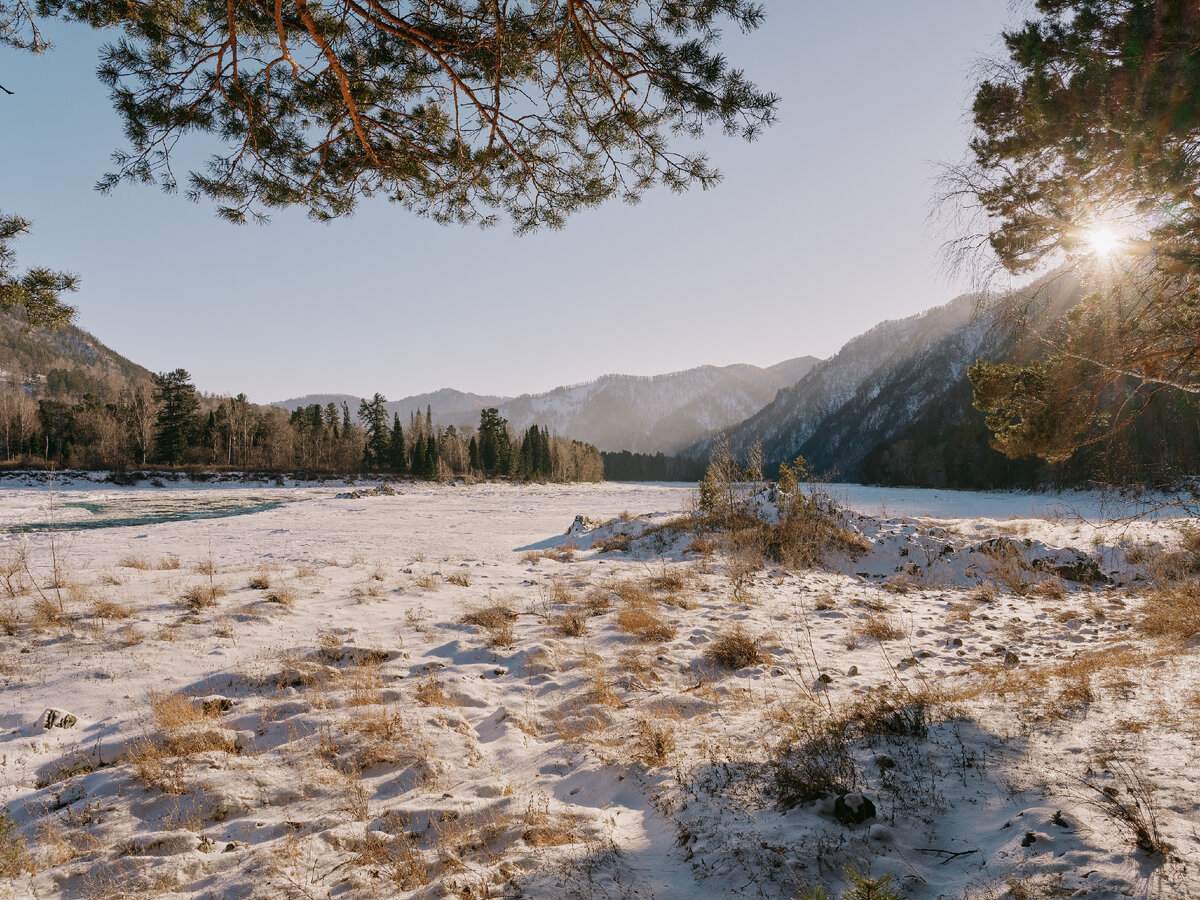 Новый ЭКО-отель на Алтае | Grand Chalet Altay | Дзен