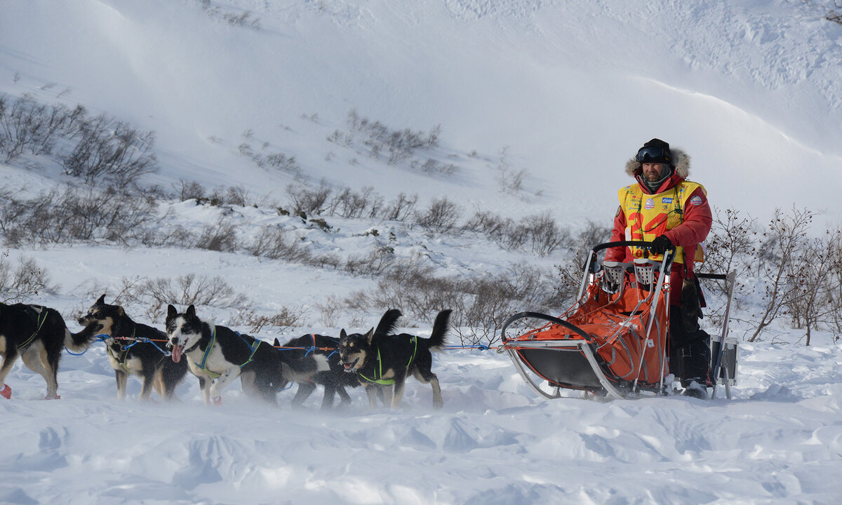 Фото: www.severdogtur.ru