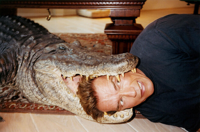 The Strong Man and The Crocodile: Арнольд Шварценеггер (фотограф: Юрген Теллер; источник фото: www.buro247.ru)