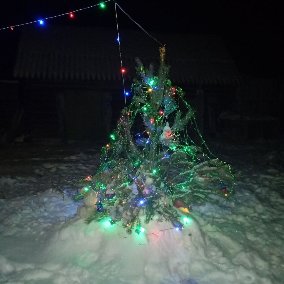 Ёлочка-красавица