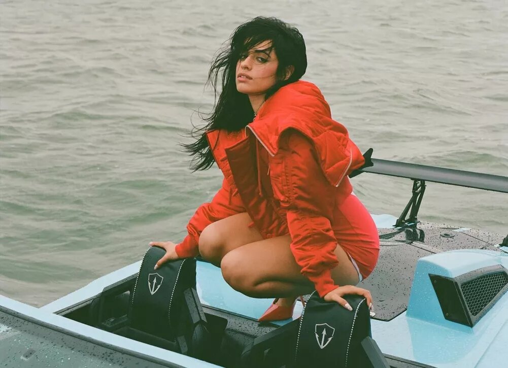    Из жгучей брюнетки в платиновую блондинку: Камила Кабельо шокировала поклонников новым цветом волос