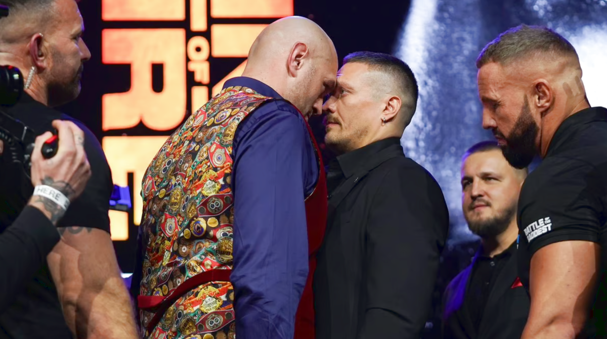 веки боксер