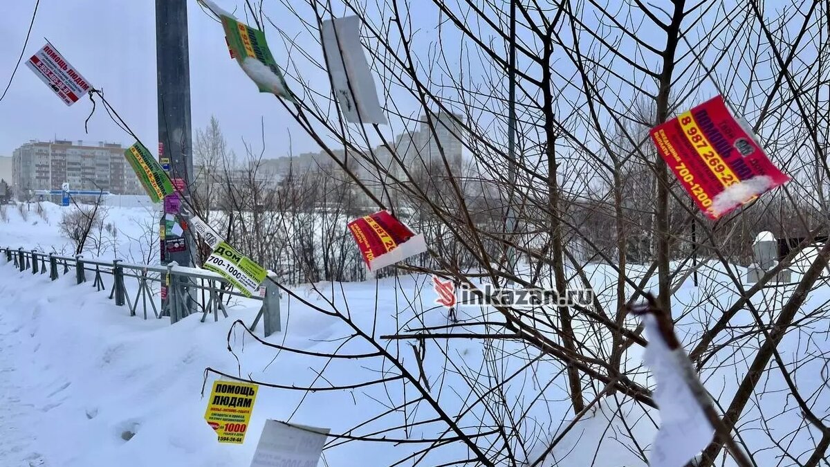     В Казани навязчивые рекламные объявления стали появляться на кустах и деревьях. Соответствующие кадры появились в распоряжении Inkazan.