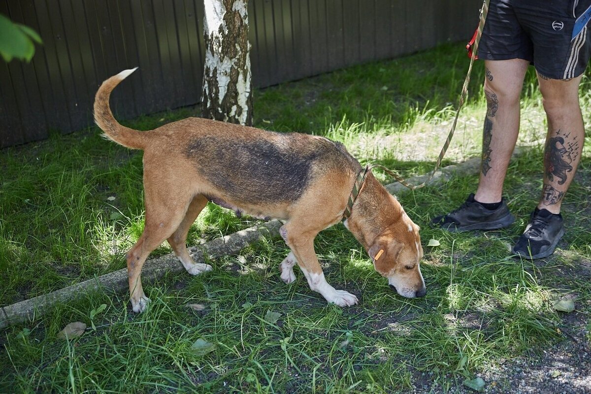 уличный рэп текст. картинки street life. петербург в романе преступление. городские сценки фото. уличные слова.