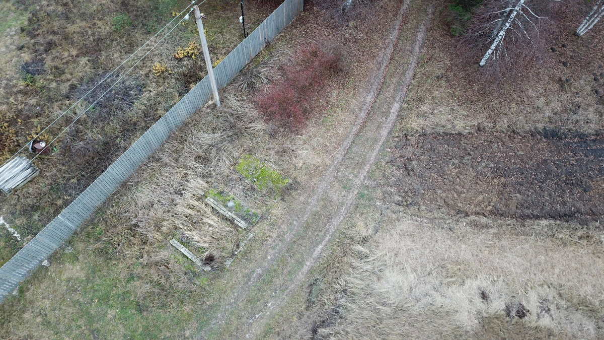 Серетид 50/250 аэрозоль. 25 ранг в бравл. Exclusive price. Price 25. Price 25.