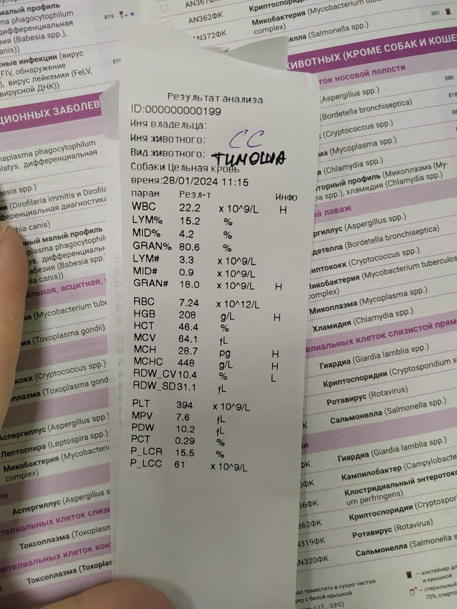 Анализы Тимоши