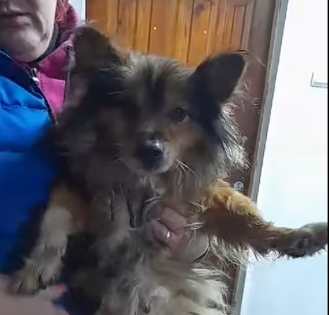 Тимоша, мягких облачков тебе((