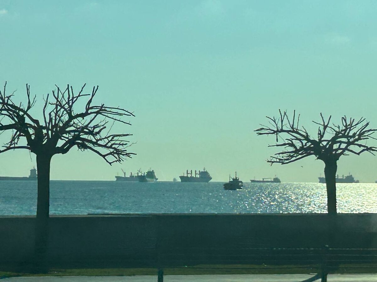 толи поздняя осень или уже ранняя весна