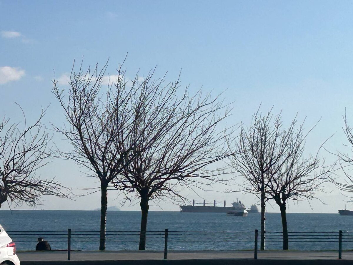 толи поздняя осень или уже ранняя весна