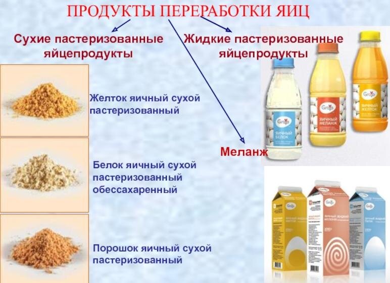 Продукты переработки яиц. Картинка взята из открытых источников