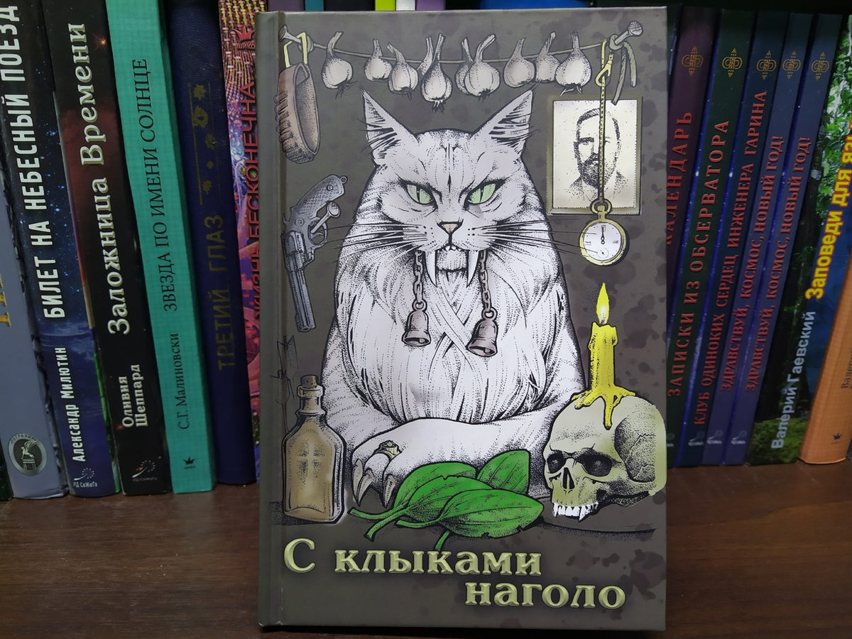 Обложка сразу настраивает на встречу с вампирами и мистическими историями 
