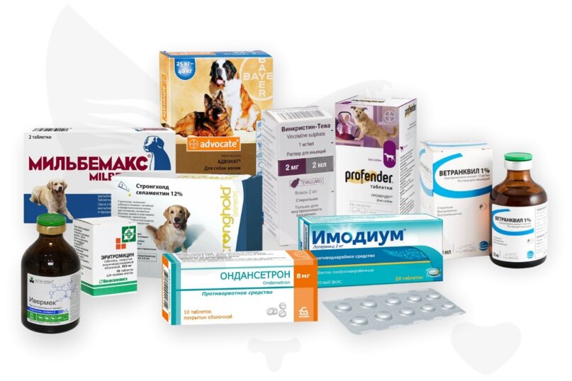 Опасные препараты для собак с MDR1