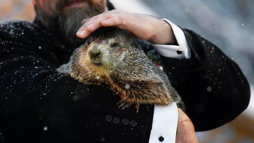 Заведующим сектором. Заведующего или заведующий отделом. Заведующим сектором. Заведующим сектором. Вопросы для интервью заведующему кафедры.