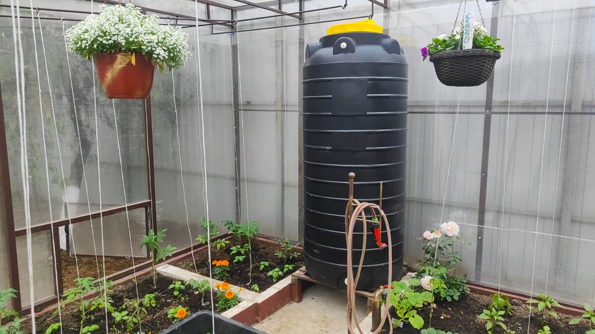 "мой щенок". В. Михалков с. Кот валяется на полу. "мой щенок".