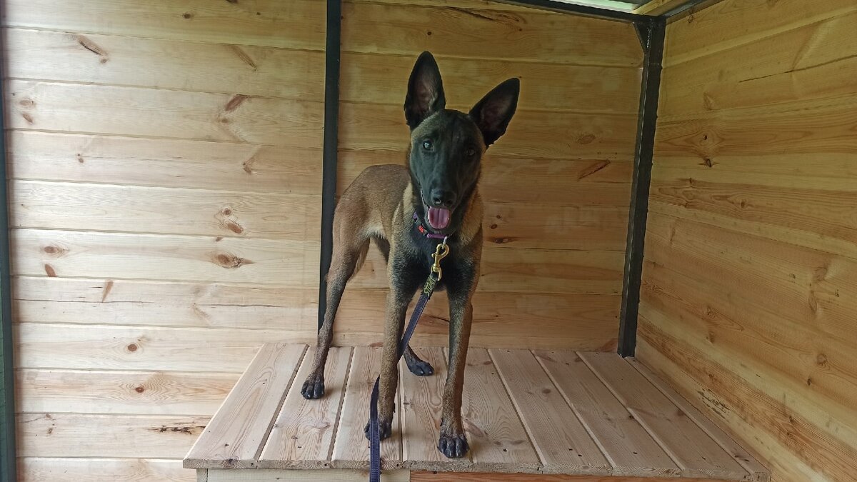 Вот такой приехала ко мне моя Юша.