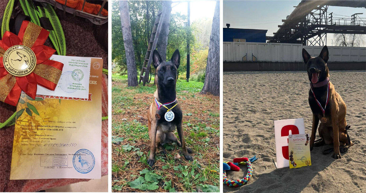 план, что и говорить, был хорошим. человек начинает жить лишь тогда. люди боятся того чего не понимают. можем ли мы сказать. мужчина и женщина.