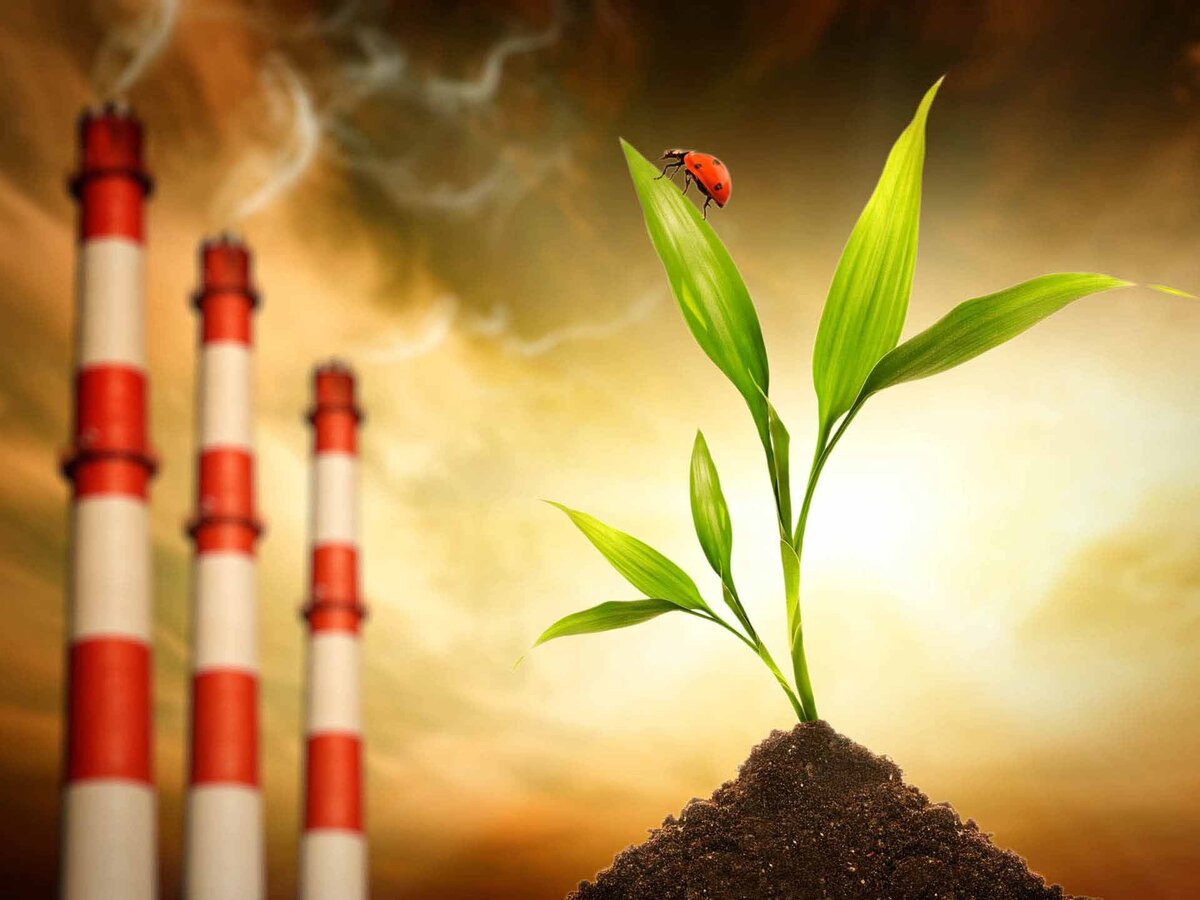 негативные факторы влияния городов на окружающую среду:. современное определение экологии. воздействие энергетики на окружающую среду. негативное воздействие на окружающую среду. воздействие атомных станций на окружающую среду.