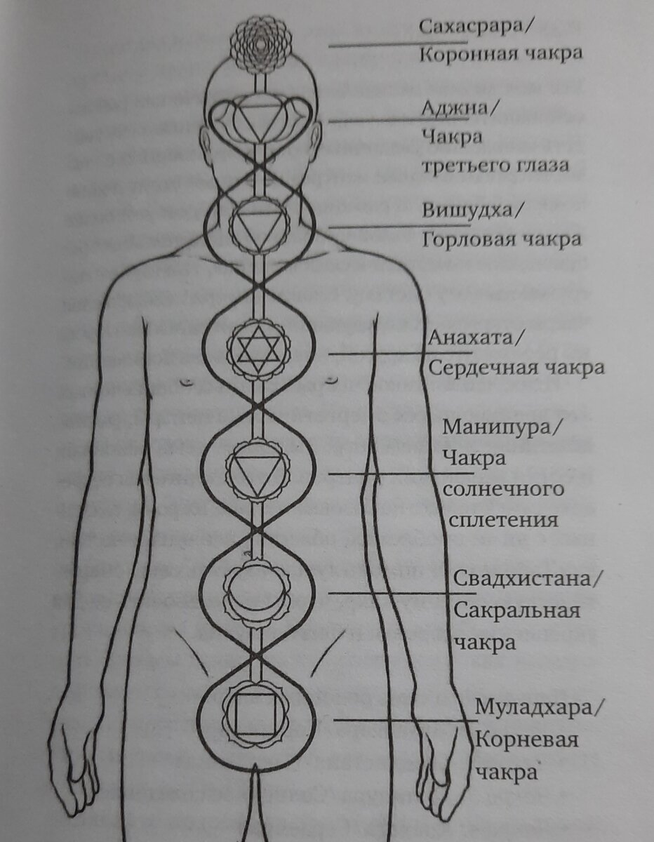 ЧАКРОВАЯ СИСТЕМА ЧЕЛОВЕКА