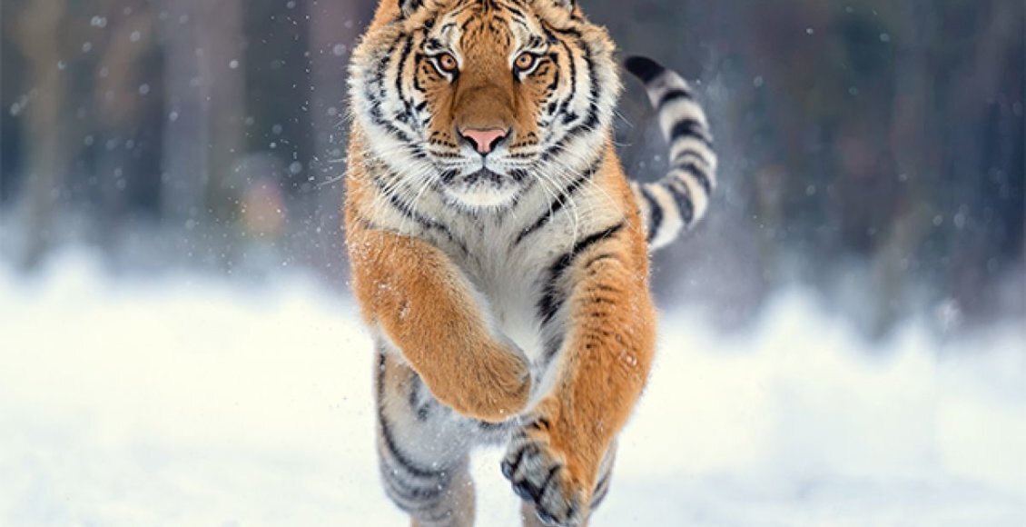    Фото: Shutterstock.com
