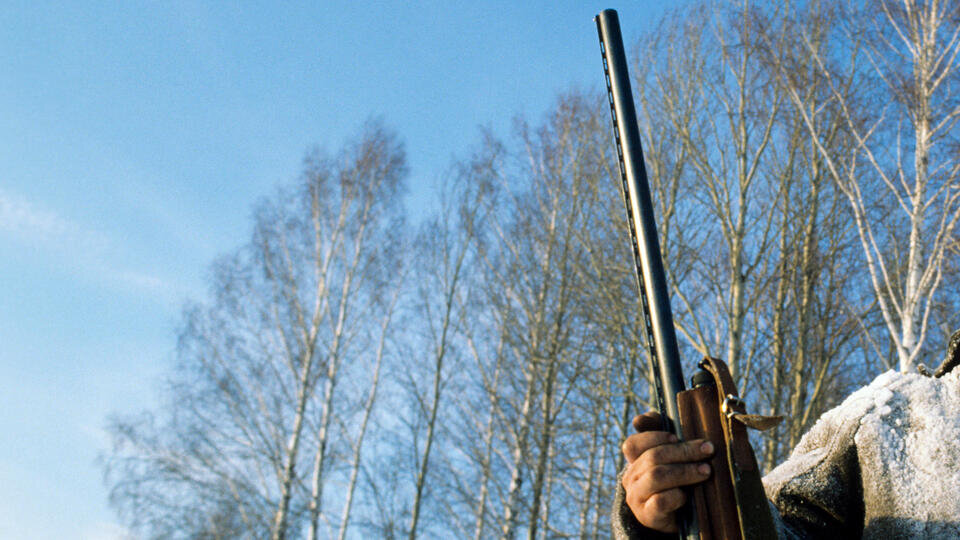 Фото: © РИА Новости/Дмитрий Коробейников