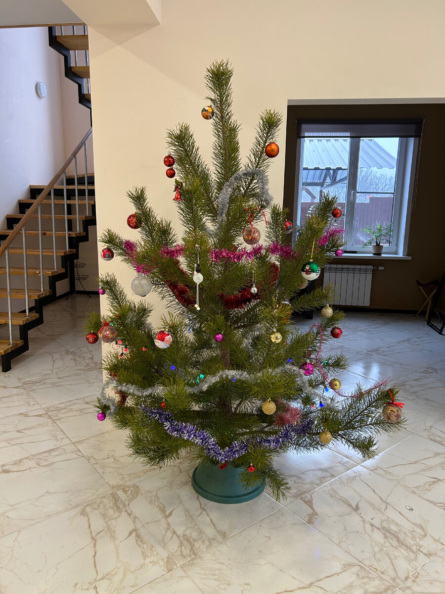 Наша ёлочка 🎄 