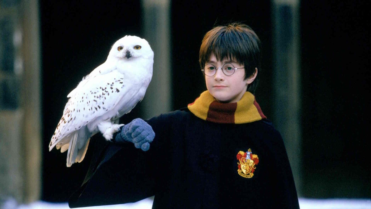 гилдерой локхарт хью грант. джоан роулинг 2023. гарри поттер златопуст локонс. дэниел рэдклифф гарри поттер и философский камень. гарри поттер и тайная комната златопуст локонс.